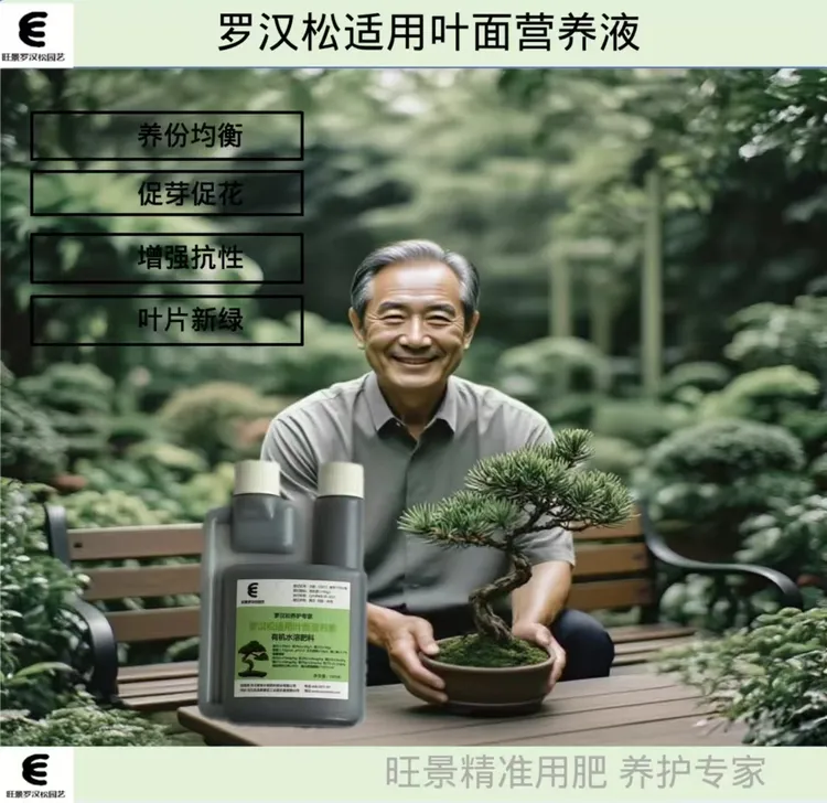 进口罗汉松专用有机叶面肥防黄叶促长芽营养素
