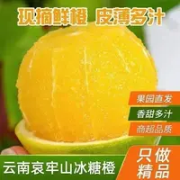 Y云南哀牢山青皮冰糖橙新鲜应季水果现摘现发清甜多汁
