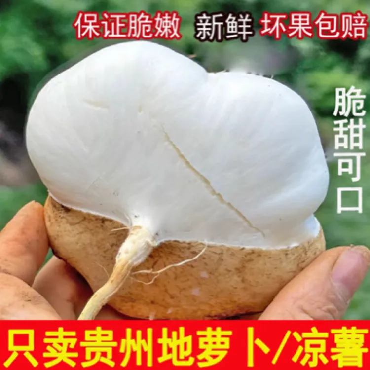 贵州高山现挖凉薯白地瓜新鲜脆甜多汁好吃不贵