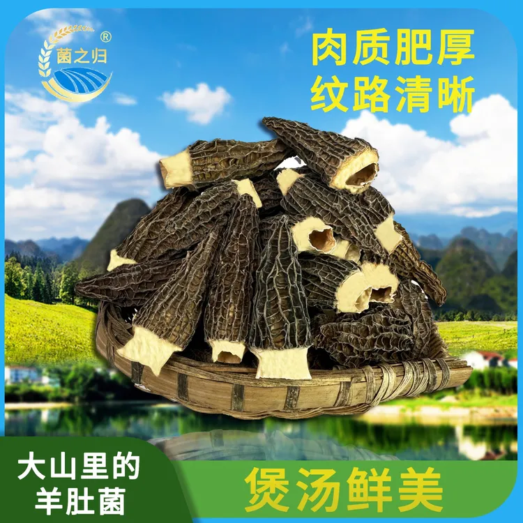 【菌之归】大山里干羊肚菌50g*1/袋5-7公分长煲汤鲜美菌香浓郁