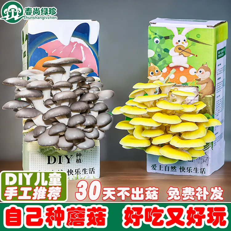 蘑菇盒子种植盒菌包种植包菇种儿童趣味种植菌菇包室内家种菌棒