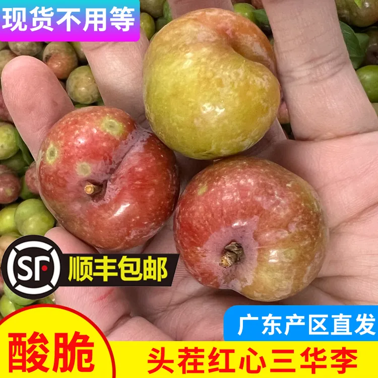 【顺丰包邮现货】广东省三华李红心李爽脆李子新鲜现摘当季应季水果
