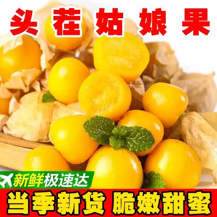 姑娘果【现货】新鲜水果灯笼果黄菇娘果洋菇娘姑娘果东北菇娘果