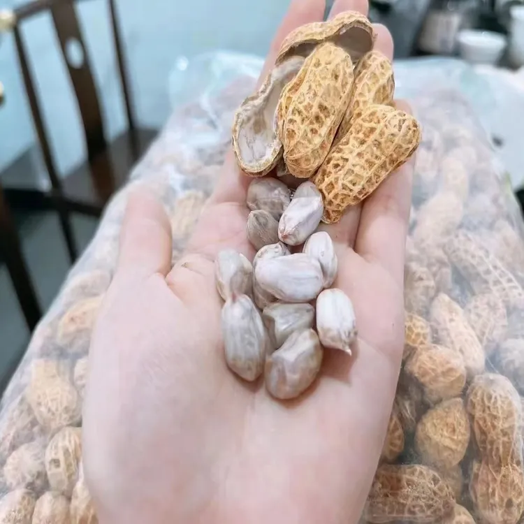 清姐专属链接！水煮晒干花生咸干自然晾晒软糯鲜香休闲坚果零食