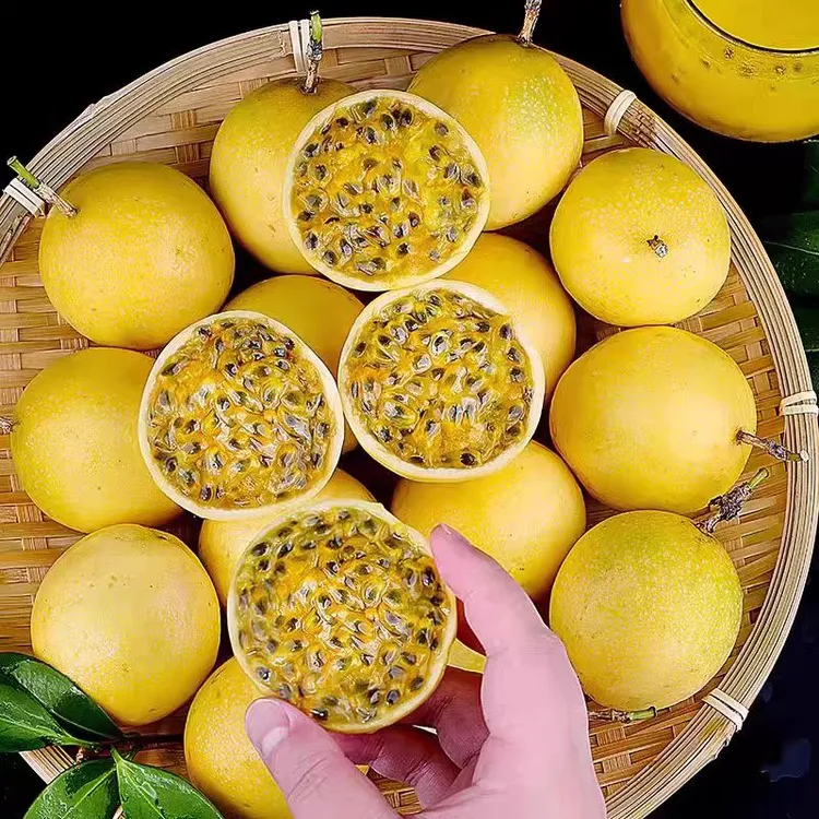 R【广西钦蜜9号百香果】新鲜现摘当季水果3-5斤鲜甜多汁送开果器
