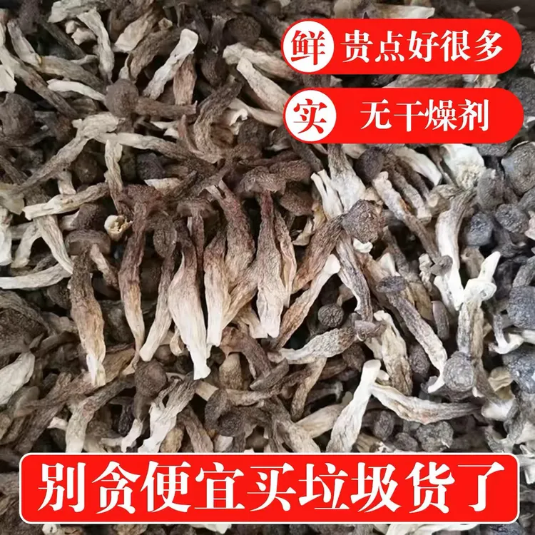 古田高山鹿茸菇菌菇无硫干货肥厚炒菜炖煲鸡汤鲜营养美味煲汤食材