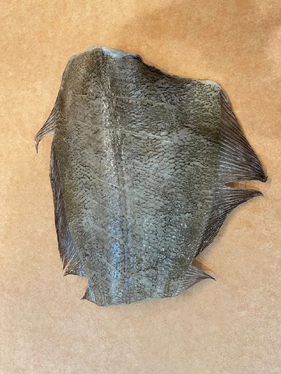 活鱼现切深海蝶鱼段