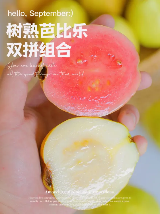 【灰姑娘精选】双拼奶油芭乐软糯酸甜小土芭乐新鲜孕妇水果番石榴