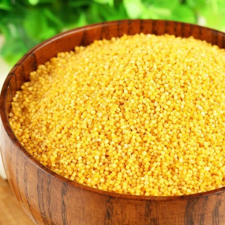太行山林州特产洪河小米山地小米油糯鲜黄小米五谷杂粮新米米油多