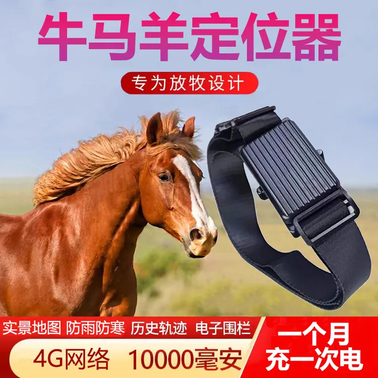 牛羊定位器山区放牧马骆驼专用北斗卫星追踪防丢神器防水项圈4G