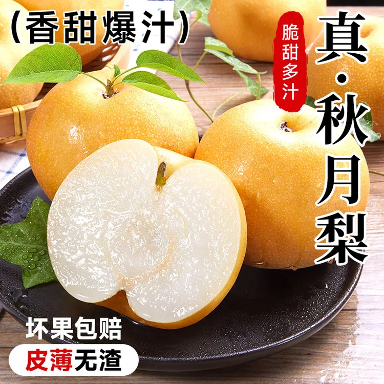 【整箱5斤】正宗山东秋月梨新鲜梨当季大果冰糖梨雪梨蜜梨水果包邮
