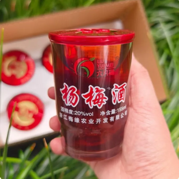 正宗浙江仙居杨梅自酿果酒微醺必备低度梅子酒杨梅酒正宗杨梅果酒
