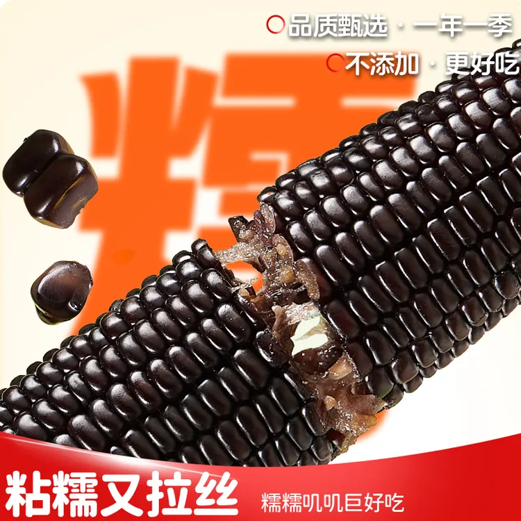 内蒙古头茬真空包装8根黑糯玉米快递箱