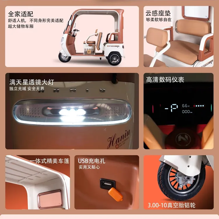 新款电动三轮车家用小型女士接送孩子一体带棚电瓶车老人休闲代步