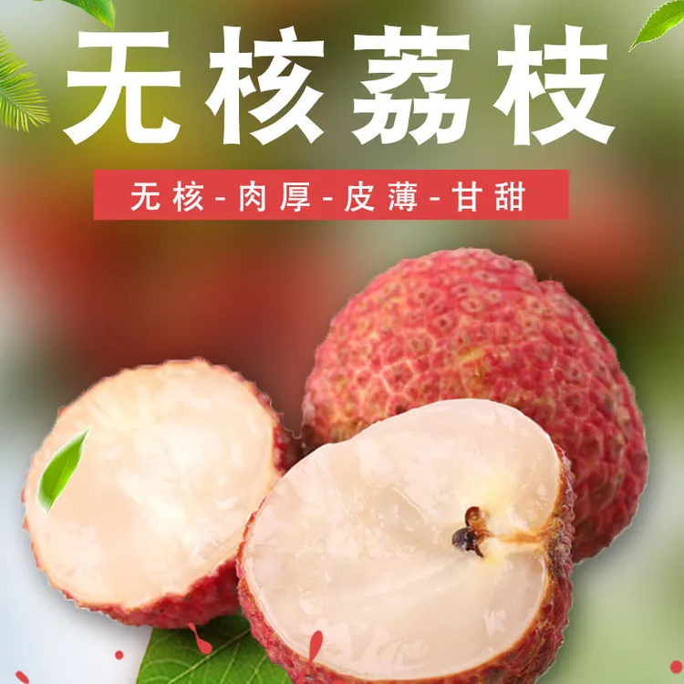 正宗无核荔枝无核荔枝大果荔枝新鲜现摘广东荔枝正宗新鲜荔枝当季