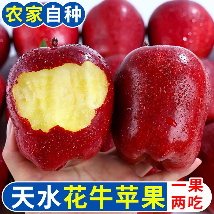 2025甘肃天水花牛苹果新鲜现摘脆粉宝宝辅食苹果整箱批发10斤