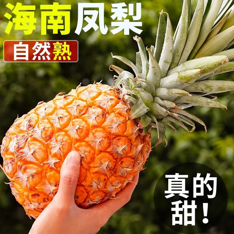 正宗海南金钻凤梨香甜多汁应季孕妇水果产地直发手撕菠萝芒果菠萝