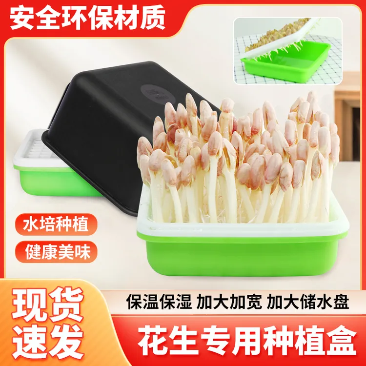 花生芽发芽神器家用花生苗种植网格盘盆生绿豆芽豆苗盒专用水培箱