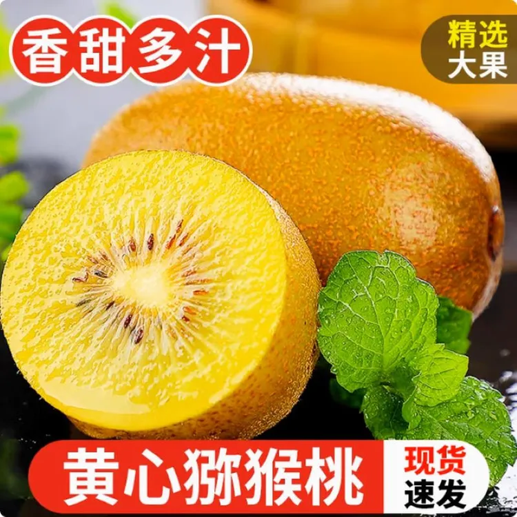 四川黄心猕猴桃奇异果金果应季新鲜弥猴桃大果孕期水果整箱包邮甜