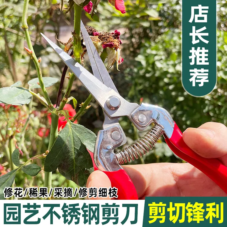 多功能园艺剪家用鲜花修枝剪养花盆景盆栽多肉专用园艺造型长剪刀