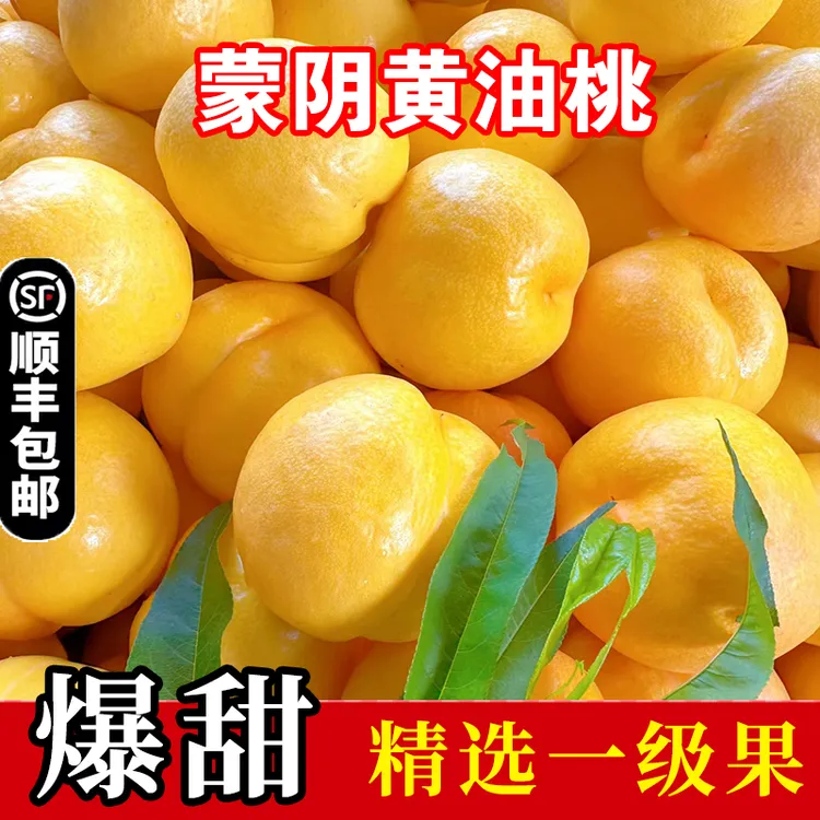黄油桃新鲜水果整箱当季山东蒙阴黄桃黄金油桃沂蒙山脆桃子新鲜