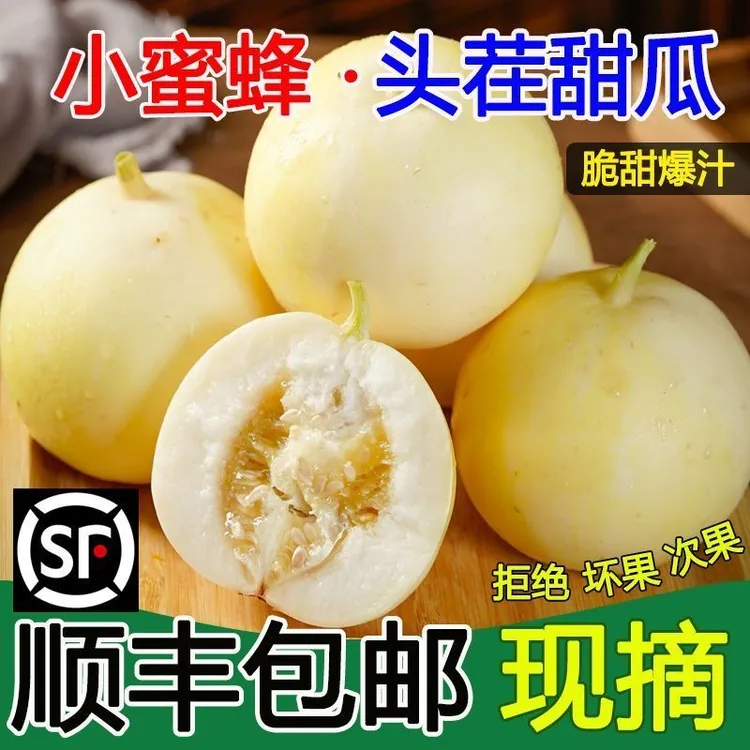 【包邮顺丰】正宗山东小蜜蜂甜瓜星甜20新鲜孕妇水果产地直发脆甜
