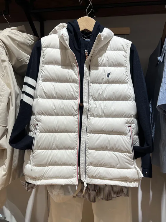 纯色冬季薄款立领常规时尚女款女士羽绒马甲