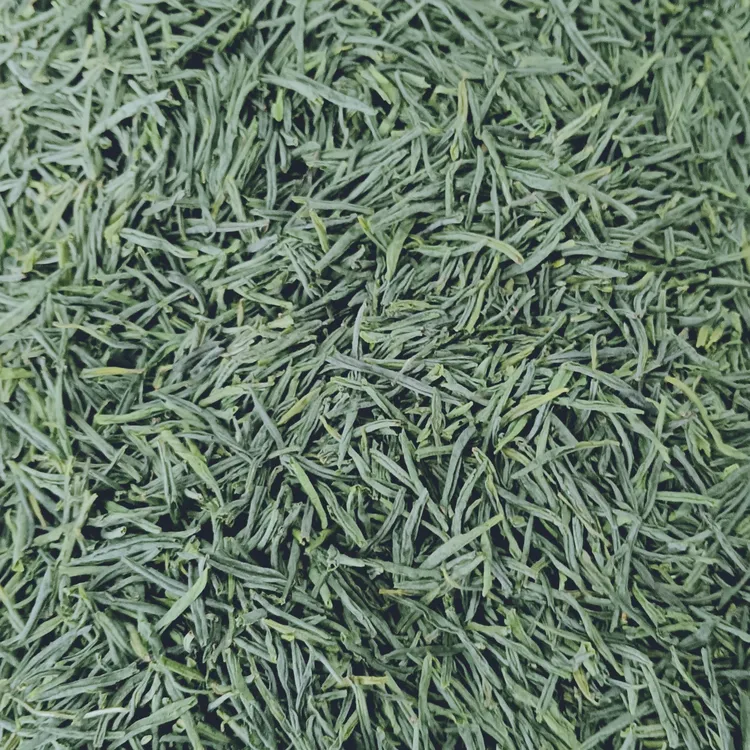2025年新茶绿茶高山雨前炭火烘焙纯栗香六安瓜片