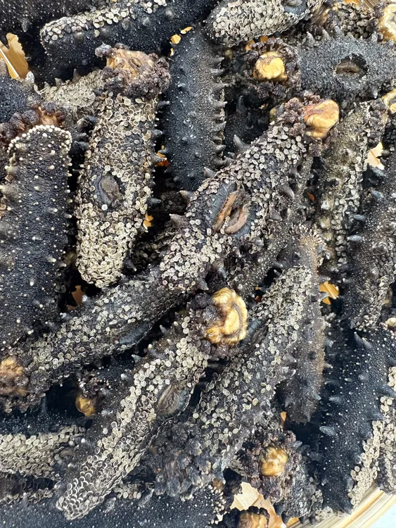 大连深水底播海参足干钝刺高品质（沙山）干海参高泡发