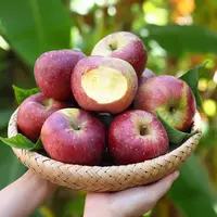 山西新鲜丑苹果现摘现发应季苹果整箱包邮