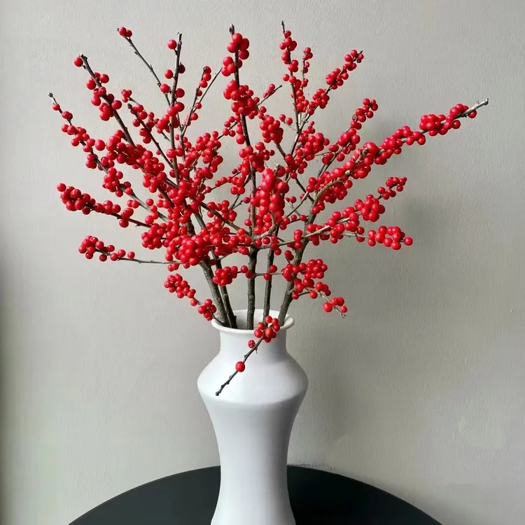 北美冬青 红红火火年宵花 花期长水培鲜花 一单包邮