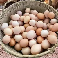 顺丰包邮50枚农家散养 纯粮食喂养 土鸡蛋