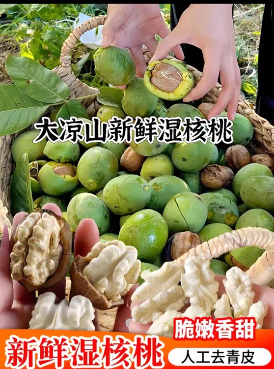2025大凉山去青皮新鲜湿核桃，去青皮，送夹子+镊子