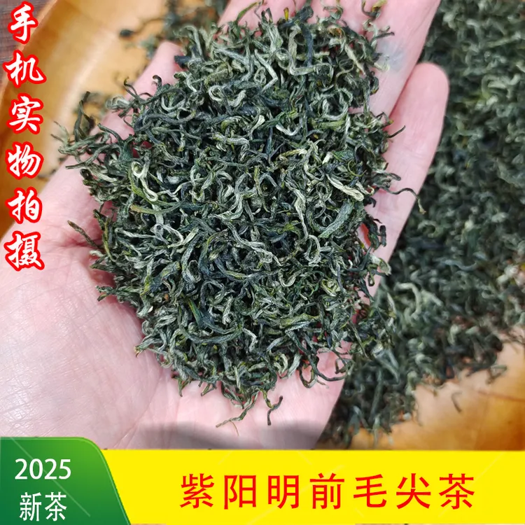 2025新紫阳富硒产区绿茶紫阳毛尖翠峰浓香耐泡高山云雾茶500g包邮