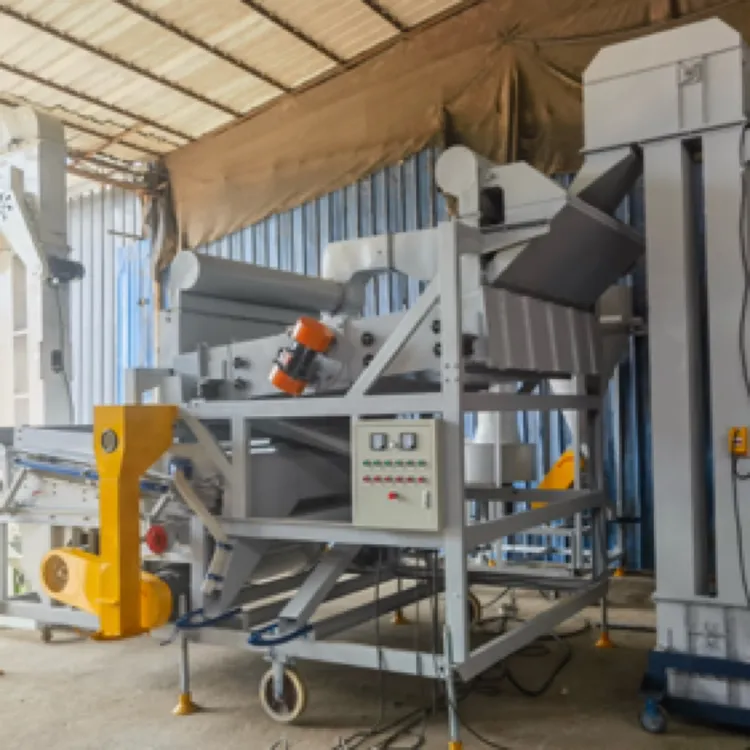 大豆菜籽芝麻复式比重精选机  风筛比重精选机 10-13吨每小时