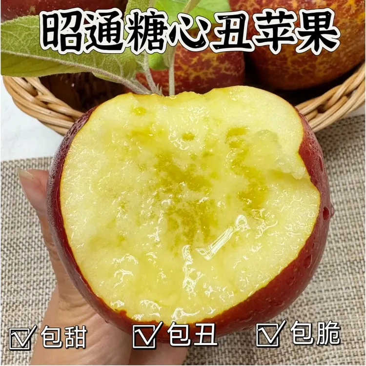 昭通严选高原冰糖心丑苹果香甜爽口脆甜多汁现摘现发坏果包赔好评