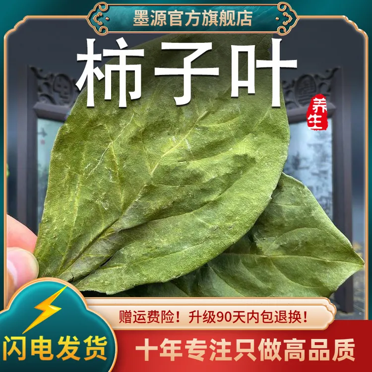柿子叶中药材柿子叶茶柿叶霜后柿子树叶新鲜干货大片可打柿子叶粉