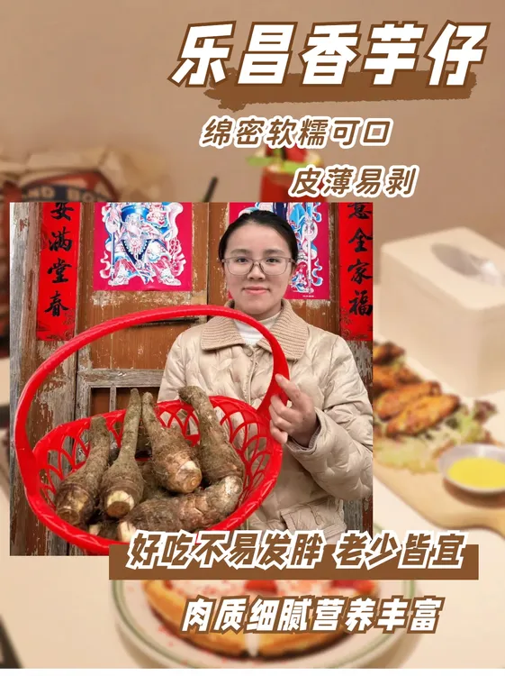 正宗粤北韶关乐昌香芋新鲜现挖炮弹香芋广东槟榔芋