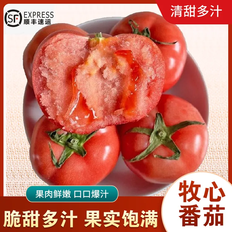 牧心番茄新鲜脆甜口感生吃水果坏果包赔西红柿2-6斤顺丰大小混装