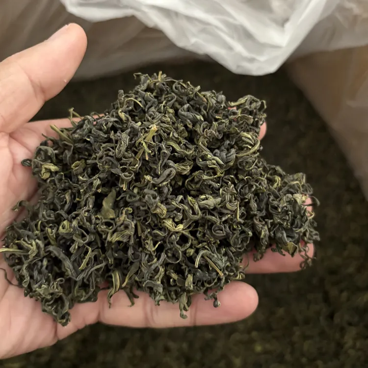 日照绿茶手采叶7月份炒