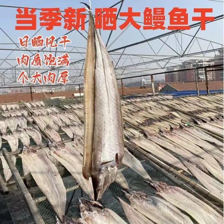 大号咸香海鳗鱼干渔民自晒6-7成干海鳗鱼 五斤（3-5条）