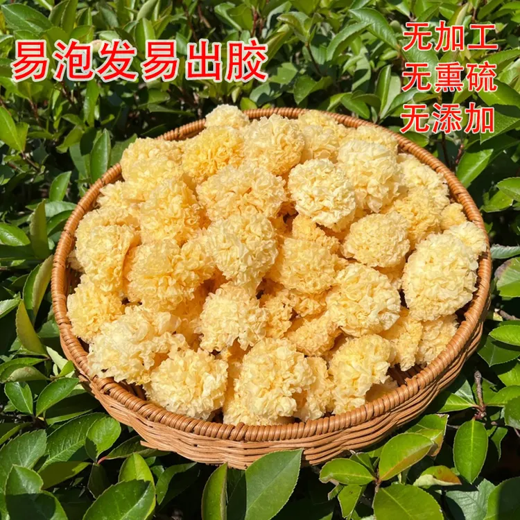 椴木小银耳天然干货无熏硫雪耳出胶软糯干货特产高山椴木银耳干货