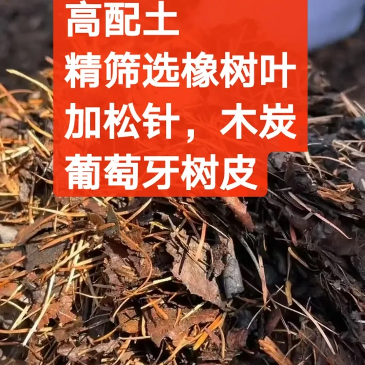 君子兰兰花专用四合一高配花土高端君子兰花用5斤