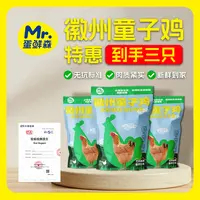 蛋鲜森徽州童子鸡三只装真空净膛1.6斤左右/只 推荐清蒸