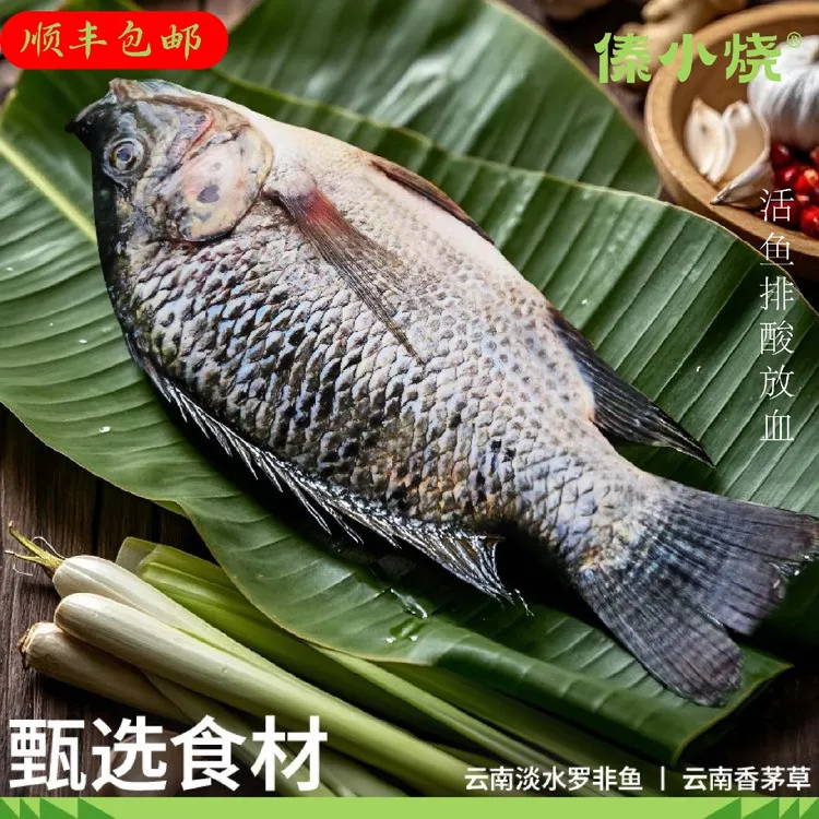 傣小烧云南香茅草烤鱼350-450克罗非鱼腌制半成品烧烤食材新年