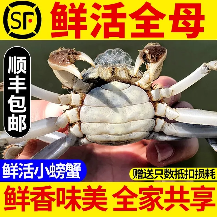 【活蟹】鲜活五元河蟹 母蟹（0.9-1.2两/只）10只【螃蟹就吃一两母】