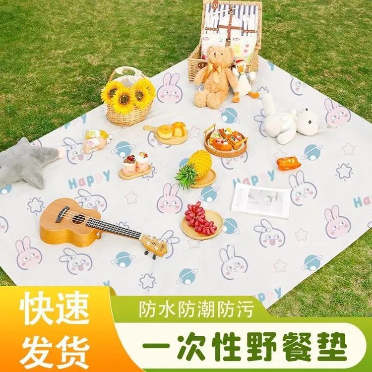 一次性野餐加厚户外春游防潮垫露营地垫防水野炊沙滩草坪便携垫子