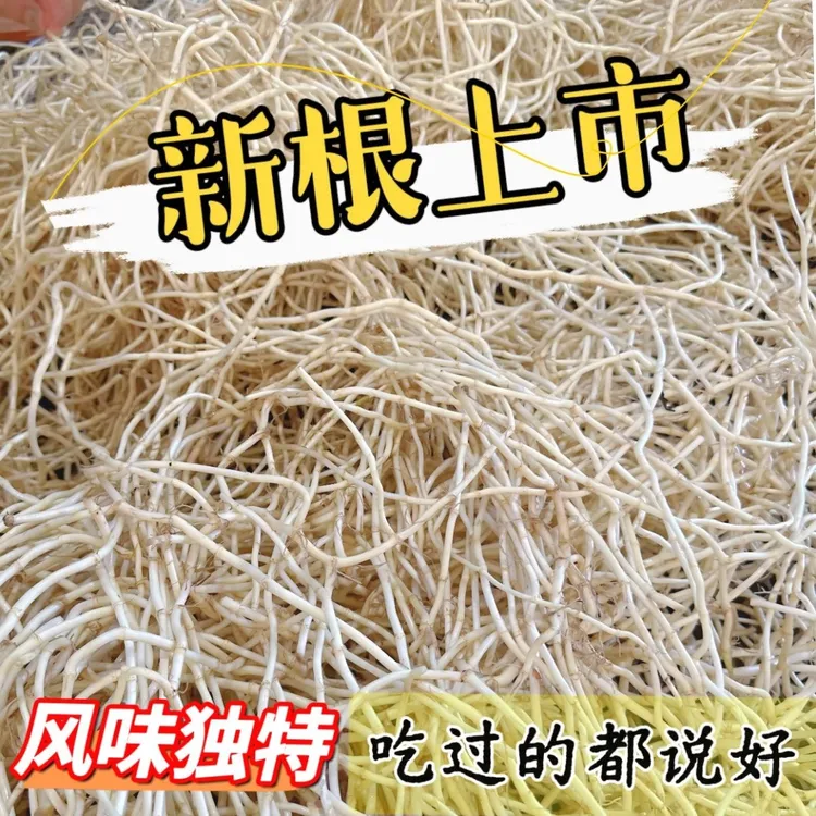 折耳根新鲜洗净发货鱼腥草先采先发包邮冰袋保温湖北特产凉拌