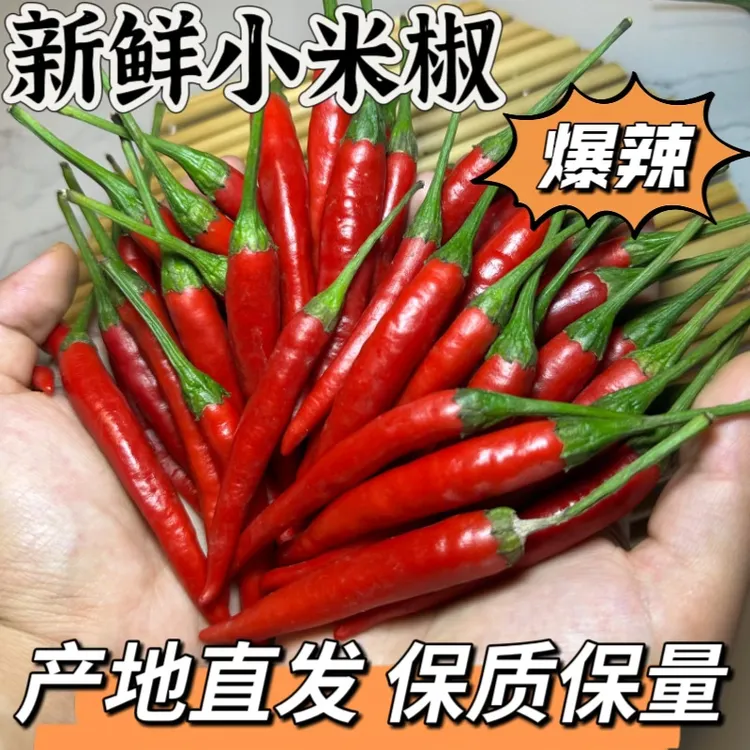 山东新鲜小米辣椒朝天椒指天椒红辣椒香辣爆辣餐饮尖椒炒菜爆辣