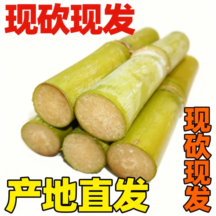 广西青皮甘蔗当季新鲜水果脆甜多汁鲜榨专用